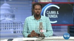 Caawa iyo Dunida