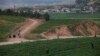 FILE - North Korean farmers tend a field outside Pyongyang, June 14, 2012. A U.N. report released July 16, 2024, accuses the Democratic People's Republic of Korea of widespread forced labor in a variety of sectors, including agriculture.