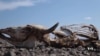 UN Member States Focus on Environmental Crisis at Nairobi Meeting