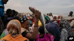A woman holds up a fish after getting it for free on a beach in Saint Louis, Senegal, Jan. 18, 2023.
