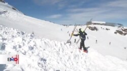 Un día en la vida de un perro de rescate de avalanchas