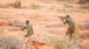 Cinq États semi-autonomes dont le Jubaland composent la fédération somalienne.