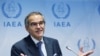 World Must Not Fail in Iran as It Did in North Korea, IAEA Chief Says 