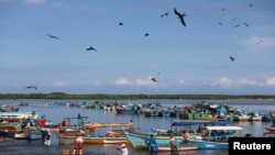 Los pescadores llevan los peces capturados al mercado de Tumbes, en Perú, el 31 de marzo de 2023.