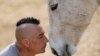 Serbia's only horse sanctuary aids tortured, old and neglected animals 