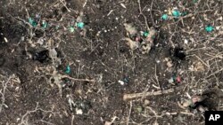 In this screengrab from video taken Dec. 6, 2023, by the BUAR drone unit of Ukraine's 110th Mechanized Brigade, bodies of presumably Russian soldiers lie scattered under a treeline in Stepove village, near the front-line town of Avdiivka, Ukraine.