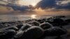 New Rules Aim to Protect Valuable Horseshoe Crabs