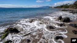 Lahaina je pre požara bila veoma popularno turističko odredište.