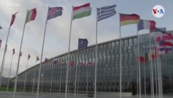 La OTAN se expande, Finlandia entrará como nuevo miembro
