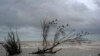 Alberto, primera tormenta tropical con nombre de la temporada, azota Texas y México, que reporta 3 muertos