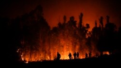 Chile enfrenta una de las peores tragedias ambientales por incendios forestales
