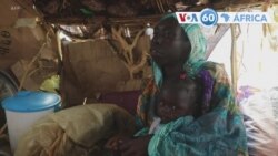 Manchetes africanas 13 de Julho: Vizinhos do Sudão falam sobre a paz ⁣