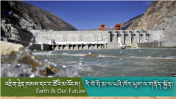 རྒྱ་དཀར་ནག་གཉིས་འགྲན་རྩོད་ཀྱིས་རི་བོ་ཧི་མ་ལ་ཡར་གནོད་སྐྱོན། 
