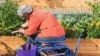 Gentle Methods for the Hard Work of Gardening