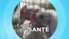 Carnet de Santé : Le virus de la grippe aviaire