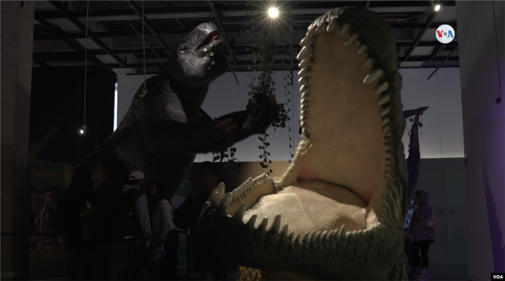 Al fondo la imagen de una réplica exacta del Megatherium, un perezoso prehistórico que habitó América del Sur. 