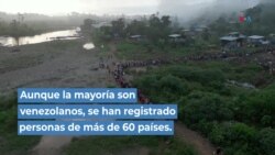 Aumenta cantidad de niños que cruzan la selva del Darién
