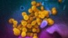 US Health Agency Targets Effects of ‘Long COVID’