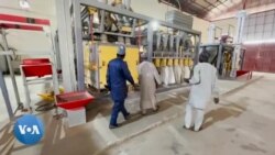 Le Nigeria affecté par le retrait de la Russie dans l'accord sur les céréales