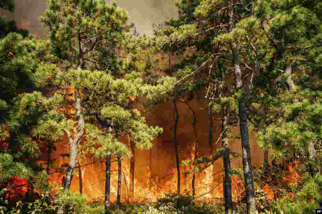 A fire burns at the Warren Grove Air To Ground Range in Bass River Township, New Jersey July 16, 2024. (New Jersey Department of Environmental Protection via AP)