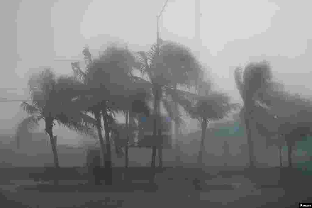Las palmeras se balancearon fuertemente durante los intensos vientos y lluvias causados por el huracán Beryl, que tocó tierra en la Península de Yucatán como tormenta de categoría 2. 