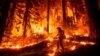 Crews fight revived Park Fire in California
