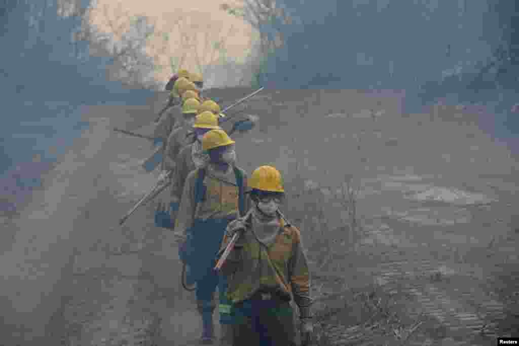 Unos 265 bomberos fueron desplegados para combatir 32 incendios activos en Santa Cruz, el 25 de julio.