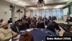 Mahalarta taron da Cibiyar Bunkasa Zaman Lafiya ta Amurka ta shirya.