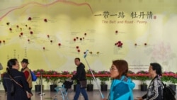 一帶一路在意大利: 名亡實存？
