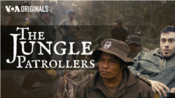 The Jungle Patrollers