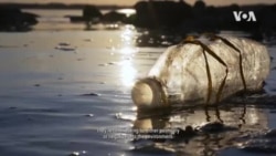 Tides of Change 