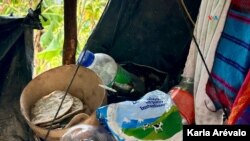 Tortillas de maíz y leche en la casa de María Carlota, madre de Cristofer, quien tiene desnutrición aguda. [Fotografía Karla Arévalo / VOA].