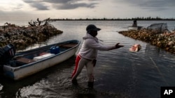 Tereha Davis tosses a conch shell off to the side as she prepares to launch her boat to go conch fishing off the coast of McLean's Town, Grand Bahama Island, Bahamas, Monday, Dec. 5, 2022. (AP Photo/David Goldman)