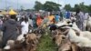 Cameroun : la fête du mouton à l'épreuve des difficultés financières