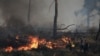 Greek prime minister warns of ‘particularly dangerous’ wildfire summer 