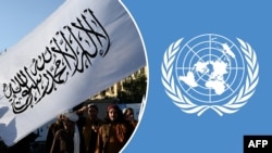 یوناما با نشر گزارشی گفته است که نقض حقوق بشری افغان‌ها به ویژه زنان در حوزه‌های مختلف ادامه دارد.