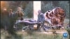 16x9 Image