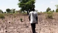 Tchad : l'urgence de trouver des solutions aux conflits entre éleveurs et agriculteurs