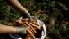 Un agricultor recolecta zanahorias durante la temporada de cosecha en una plantación en Cartago, Costa Rica, el 27 de abril de 2018. [Archivo]