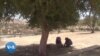 L'arganier du Maroc subit les effets du changement climatique