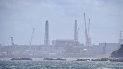 粵語新聞 晚上9-10點: 在排放福島核污水後 來自中國的電話打爆日本企業