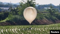Korea Utara telah mengirimkan hampir seribu balon yang membawa kantong-kantong sampah melewati perbatasan Korea Selatan. 