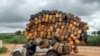 A driver carrying empty plastic containers pauses on his way to buy fuel from Angola and sell it back in Muanda, western Democratic Republic of Congo, Dec. 23, 2023. 