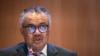WHO chief calls for end to attacks on Gaza hospitals 