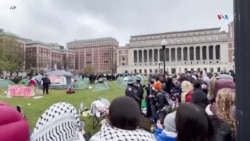 PANORAMA | ¿Por qué hay protestas estudiantiles en universidades de Estados Unidos?