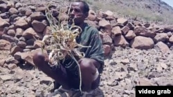 ፎቶ ፋይል፦ በዋግ ኽምራ ዞን ድርቅ