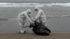 France Reports Bird Flu in Foxes Near Paris, WOAH Says 