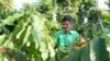 How EU deforestation laws are reordering world of coffee 