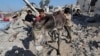 Thousands of Doses of Childhood Vaccines Enter Gaza: Palestinian Health Ministry