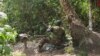 Masu Garkuwa Da Mutane 150 A Zamfara Na Son Tattaunawa Maimakon Kudin Fansa